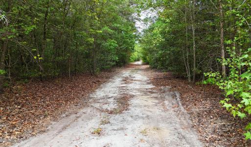 Photo #12 of 5 Bull Tail, Wallace, NC 20.0 acres