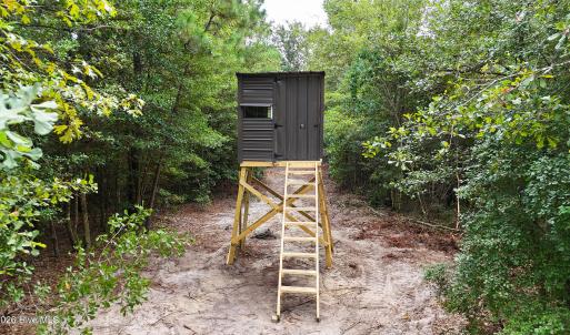 Photo #13 of 5 Bull Tail, Wallace, NC 20.0 acres
