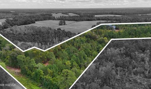 Photo #1 of 5 Bull Tail, Wallace, NC 20.0 acres