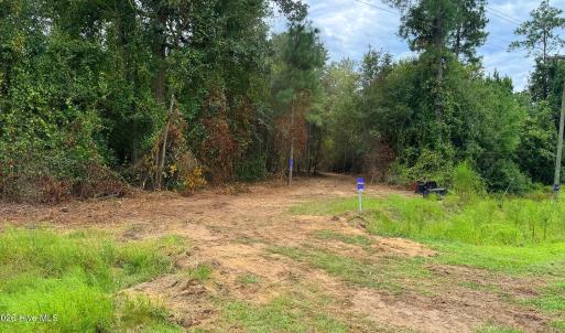Photo #17 of 5 Bull Tail, Wallace, NC 20.0 acres
