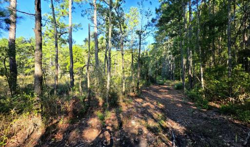 Photo #13 of Mcgowan, Bath, NC 5.9 acres