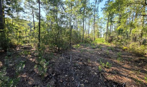 Photo #11 of Mcgowan, Bath, NC 5.9 acres