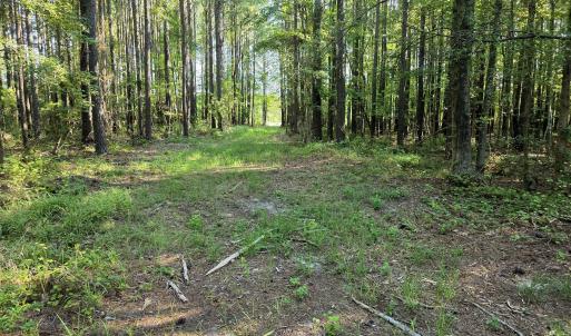 Photo #19 of Mcgowan, Bath, NC 5.9 acres
