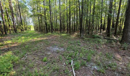 Photo #20 of Mcgowan, Bath, NC 5.9 acres