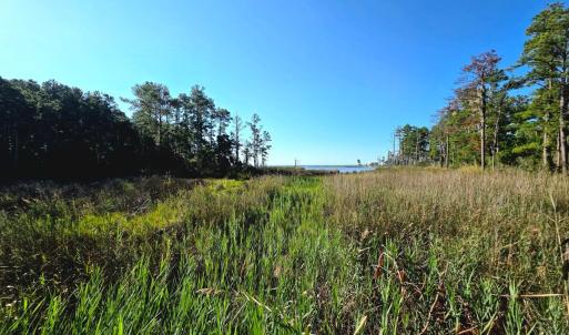 Photo #5 of Mcgowan, Bath, NC 5.9 acres