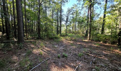 Photo #21 of Mcgowan, Bath, NC 5.9 acres