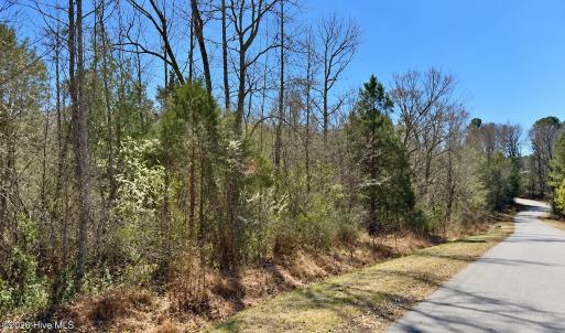 Photo #1 of 132 Bill Thomas, Moncure, NC 5.4 acres
