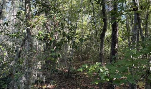 Photo #3 of Eagle View, Blounts Creek, NC 4.6 acres