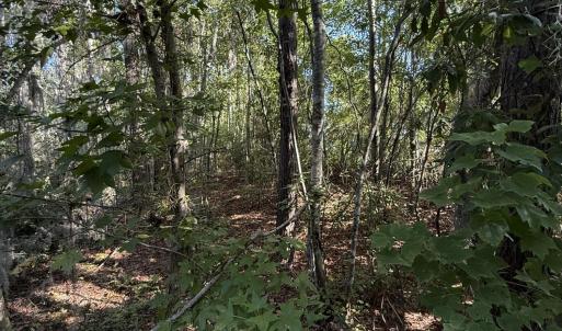 Photo #4 of Eagle View, Blounts Creek, NC 4.6 acres