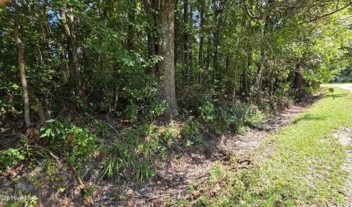 Photo #2 of Near 74 Long Leaf, Whiteville, NC 1.4 acres