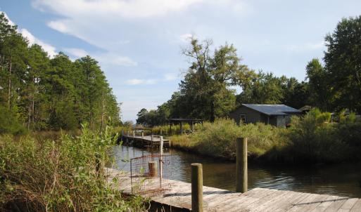 Photo #19 of 1402 Lynchs Beach Loop, Bayboro, NC 25.0 acres
