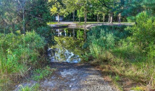 Photo #8 of 1402 Lynchs Beach Loop, Bayboro, NC 25.0 acres