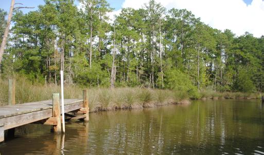 Photo #3 of 1402 Lynchs Beach Loop, Bayboro, NC 25.0 acres