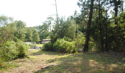 Photo #17 of 1402 Lynchs Beach Loop, Bayboro, NC 25.0 acres