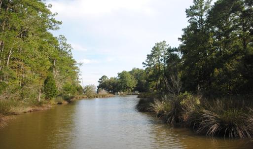 Photo #22 of 1402 Lynchs Beach Loop, Bayboro, NC 25.0 acres