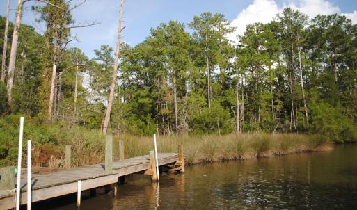 Photo #25 of 1402 Lynchs Beach Loop, Bayboro, NC 25.0 acres