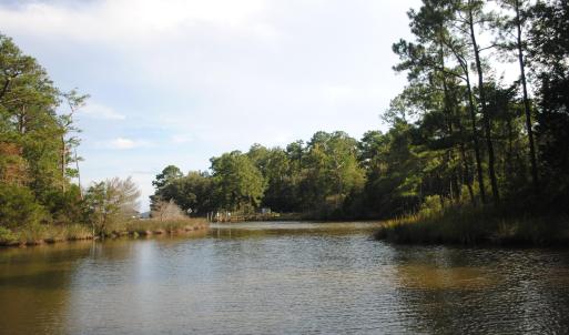 Photo #20 of 1402 Lynchs Beach Loop, Bayboro, NC 25.0 acres