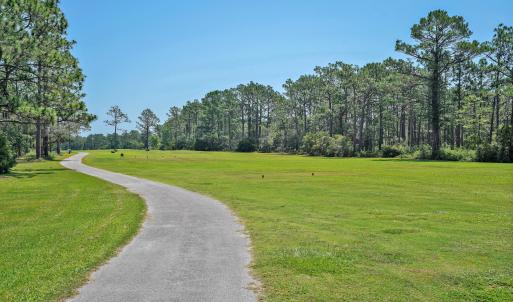 BOILING SPRING LAKES (36)