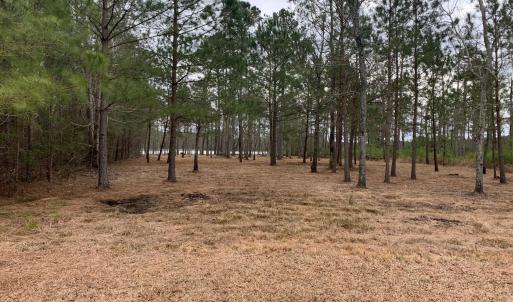 Photo #2 of Lot 37 Sunset, Belhaven, NC 1.4 acres