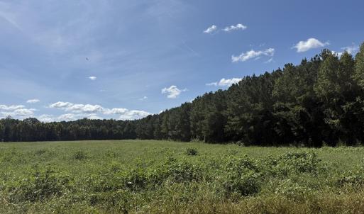 Photo #4 of Nc Highway 33, Chocowinity, NC 5.0 acres