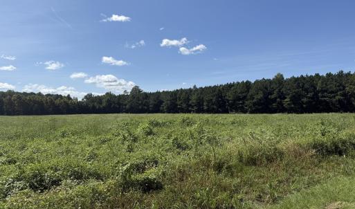 Photo #1 of Nc Highway 33, Chocowinity, NC 5.0 acres