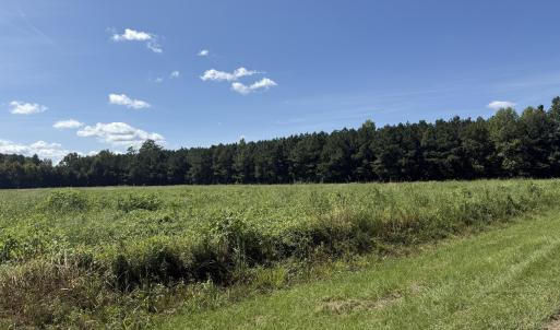 Photo #11 of Nc Highway 33, Chocowinity, NC 5.0 acres