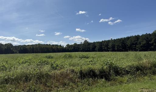 Photo #10 of Nc Highway 33, Chocowinity, NC 5.0 acres