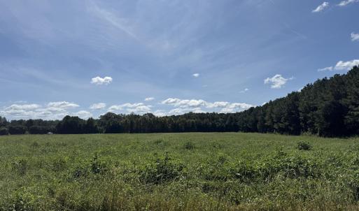Photo #5 of Nc Highway 33, Chocowinity, NC 5.0 acres