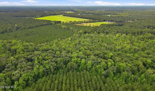Photo #13 of Shingle Brook, New Bern, NC 9.4 acres