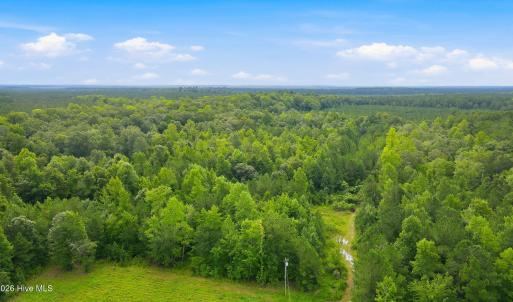 Photo #4 of Shingle Brook, New Bern, NC 9.4 acres