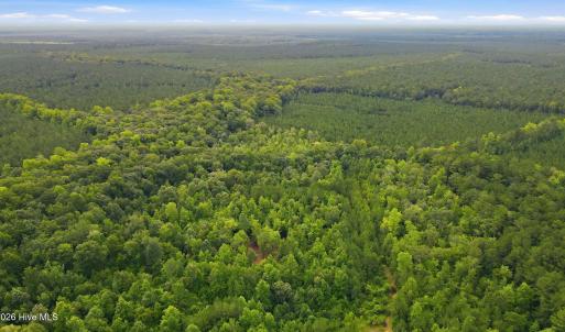 Photo #7 of Shingle Brook, New Bern, NC 9.4 acres
