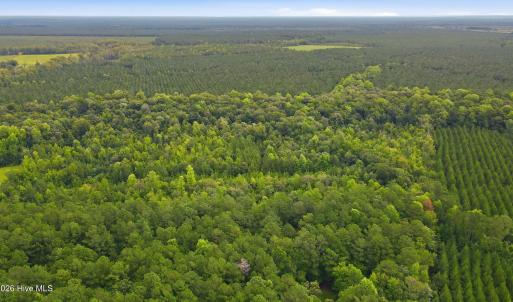 Photo #5 of Shingle Brook, New Bern, NC 9.4 acres