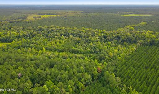 Photo #9 of Shingle Brook, New Bern, NC 9.4 acres