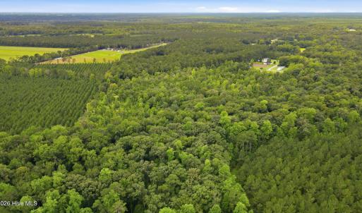 Photo #12 of Shingle Brook, New Bern, NC 9.4 acres