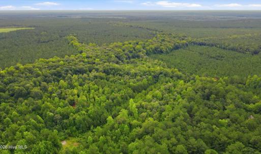 Photo #8 of Shingle Brook, New Bern, NC 9.4 acres