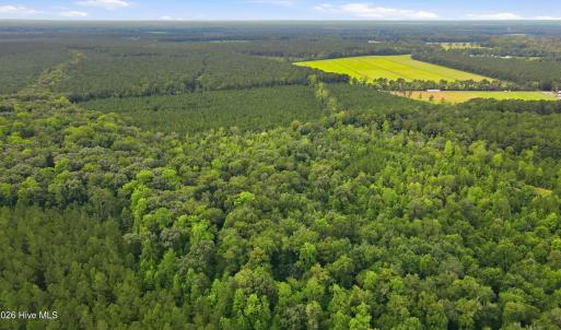 Photo #14 of Shingle Brook, New Bern, NC 9.4 acres