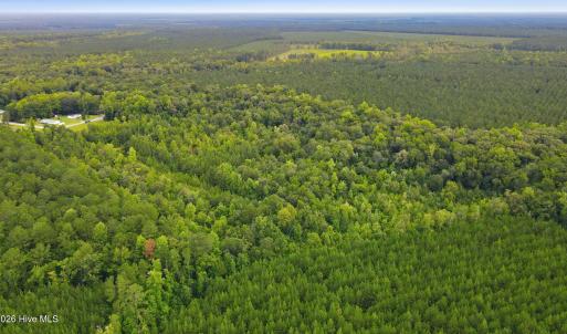Photo #10 of Shingle Brook, New Bern, NC 9.4 acres