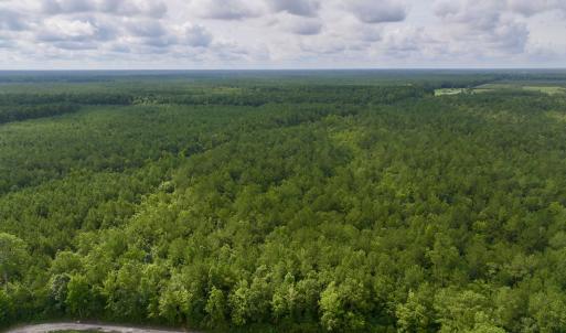 Photo #5 of 4 Cupelo, Farmville, NC 14.8 acres