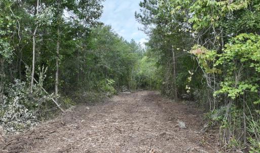Photo #11 of 4 Cupelo, Farmville, NC 14.8 acres