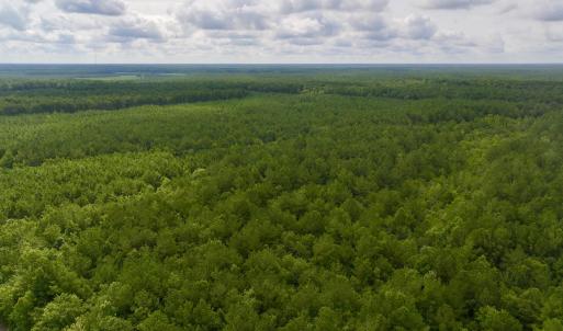 Photo #6 of 4 Cupelo, Farmville, NC 14.8 acres