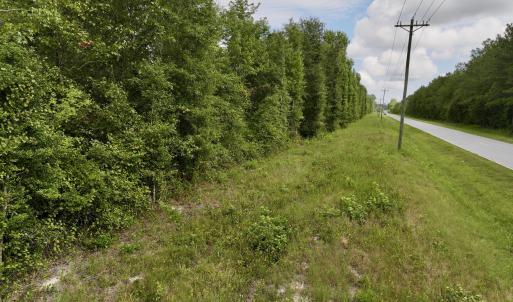 Photo #9 of 4 Cupelo, Farmville, NC 14.8 acres