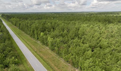 Photo #3 of 4 Cupelo, Farmville, NC 14.8 acres