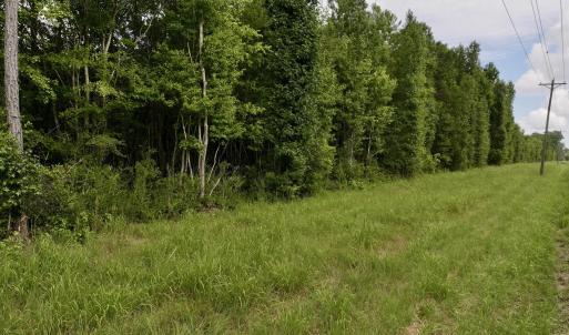 Photo #12 of 4 Cupelo, Farmville, NC 14.8 acres