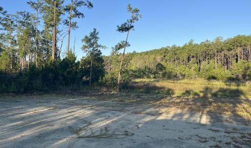 Photo #8 of 555 Upper Neck, Bayboro, NC 2.0 acres
