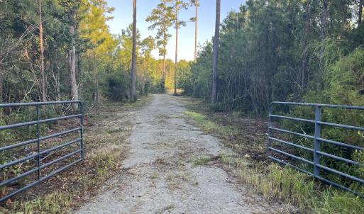 Photo #12 of 555 Upper Neck, Bayboro, NC 2.0 acres