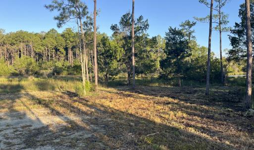 Photo #4 of 555 Upper Neck, Bayboro, NC 2.0 acres