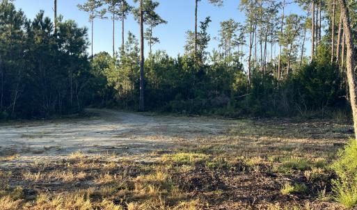Photo #3 of 555 Upper Neck, Bayboro, NC 2.0 acres