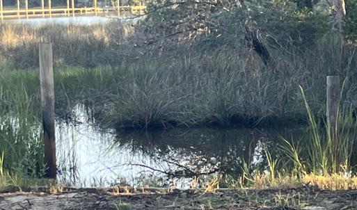 Photo #7 of 555 Upper Neck, Bayboro, NC 2.0 acres