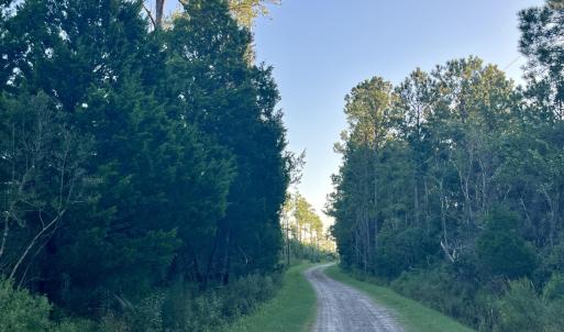Photo #11 of 555 Upper Neck, Bayboro, NC 2.0 acres