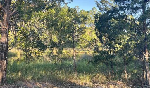 Photo #10 of 555 Upper Neck, Bayboro, NC 2.0 acres
